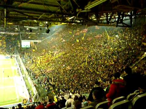 Borussia Dortmund Fans