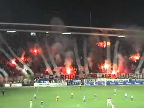 Crvena Zvezda fans